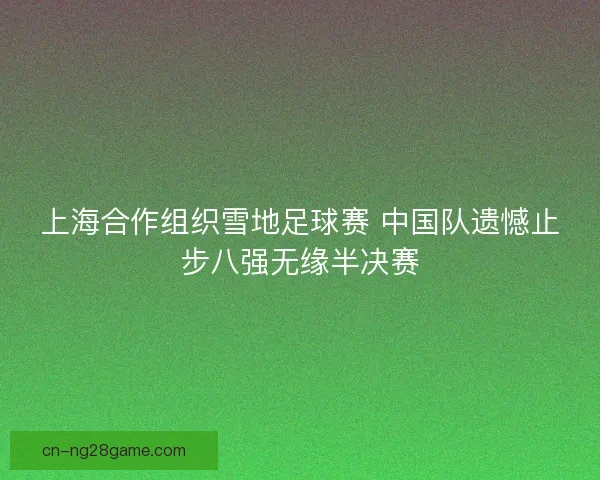 上海合作组织雪地足球赛 中国队遗憾止步八强无缘半决赛
